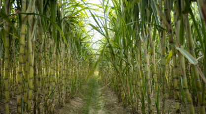 How To Take Better Concert Pictures in 30 Seconds