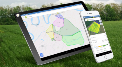 Amazingly Fresh Fruit And Herb Drinks For Summer