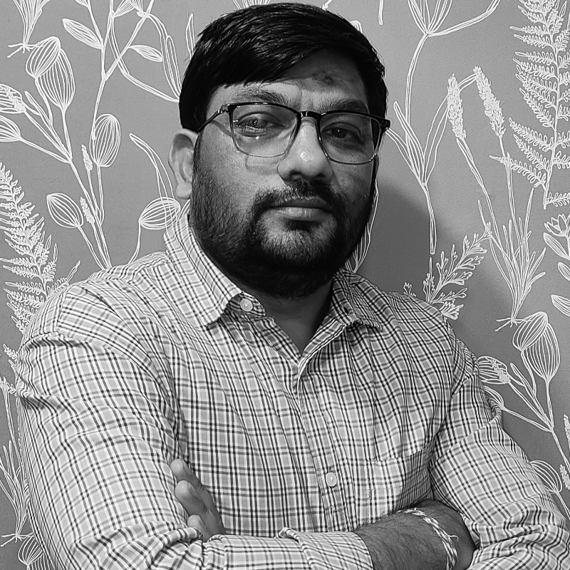 Petals Infotech Private Limited